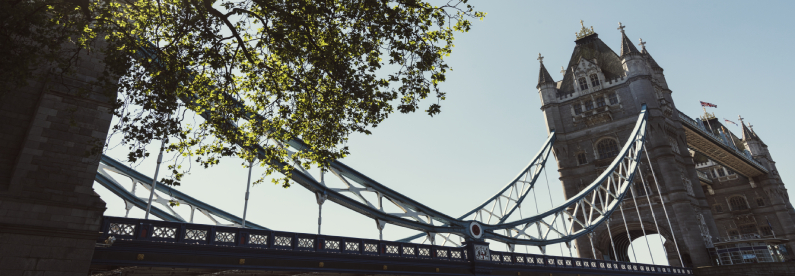 Tower Bridge in London seen from below under clear blue sky with tree branches in foreground adding natural contrast.